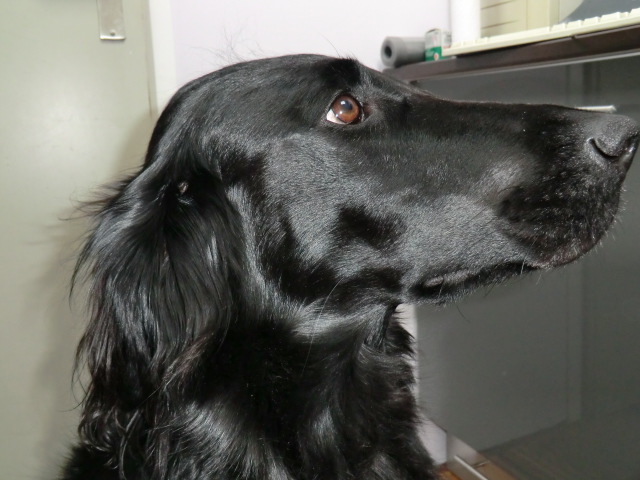 为数控铣床构建Z轴