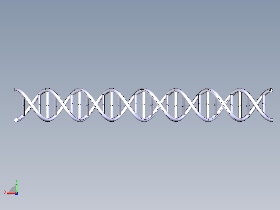 DNA基因染色体14后视图