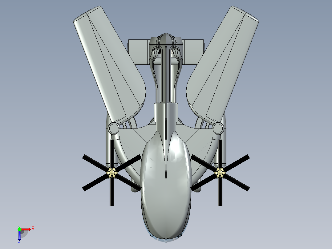 托米的鱼鹰俯视图