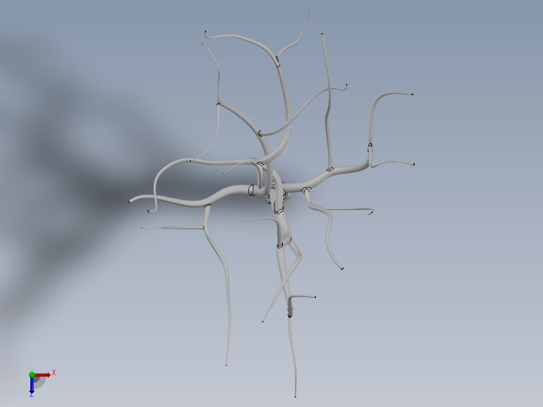 冬季落叶乔木俯视图