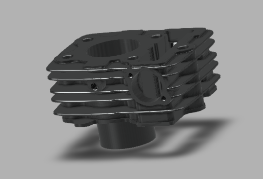 巴贾吉魅力 125cc 发动机缸体