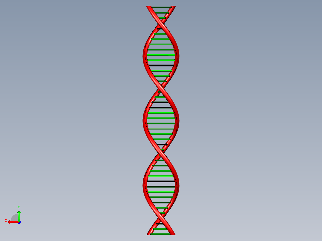 DNA基因染色体10后视图
